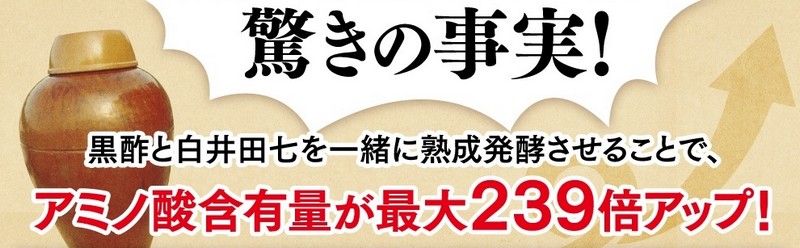 �z�b�g�t���b�V���ɓc���l�Q���T�C�g